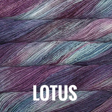Load image into Gallery viewer, Malabrigo Mechita