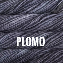 Load image into Gallery viewer, Malabrigo Rasta