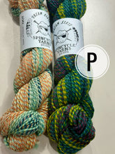 Load image into Gallery viewer, Spincycle Dyed in the Wool Sophie Scarf Kit (Striped)