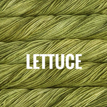 Load image into Gallery viewer, Malabrigo Rios