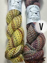Load image into Gallery viewer, Spincycle Dyed in the Wool Sophie Scarf Kit (Striped)
