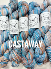 Load image into Gallery viewer, Spincycle Yarns Dyed in the Wool
