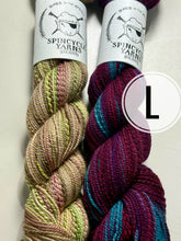 Load image into Gallery viewer, Spincycle Yarns Scarf Kit (Striped)