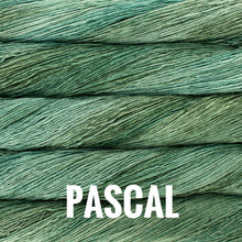 Load image into Gallery viewer, Malabrigo Mechita
