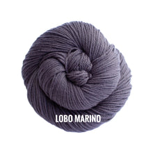 Load image into Gallery viewer, Malabrigo Rios