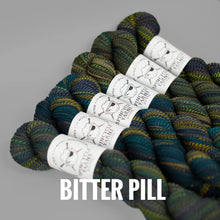 Load image into Gallery viewer, Spincycle Yarns Dyed in the Wool