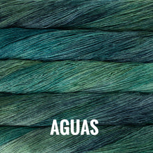 Load image into Gallery viewer, Malabrigo Yarn Arroyo