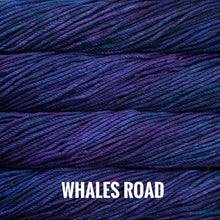 Load image into Gallery viewer, Malabrigo Chunky
