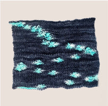 Load image into Gallery viewer, Madelinetosh / Barker Wool Collaberation