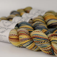 Load image into Gallery viewer, Spincycle Yarns Dyed in the Wool