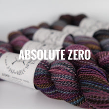 Load image into Gallery viewer, Spincycle Yarns Dyed in the Wool