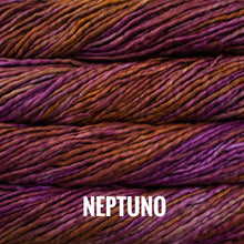 Load image into Gallery viewer, Malabrigo Rasta