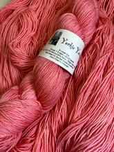 Load image into Gallery viewer, Pink Carnation