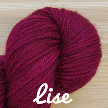 Load image into Gallery viewer, La Bien Aimee Corrie Worsted