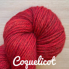 Load image into Gallery viewer, La Bien Aimee Corrie Worsted