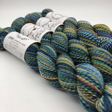 Load image into Gallery viewer, Spincycle Yarns Dyed in the Wool