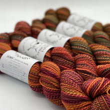 Load image into Gallery viewer, Spincycle Yarns Dyed in the Wool
