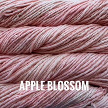 Load image into Gallery viewer, Malabrigo Rasta