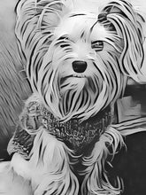 Load image into Gallery viewer, Yorkie Yarns Mighty B Squish