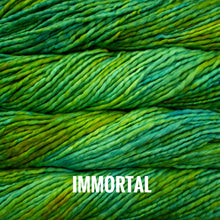 Load image into Gallery viewer, Malabrigo Rasta