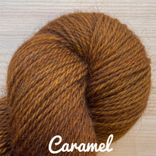Load image into Gallery viewer, La Bien Aimee Corrie Worsted