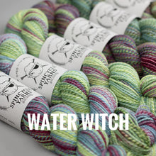 Load image into Gallery viewer, Spincycle Yarns Dyed in the Wool