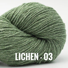 Load image into Gallery viewer, BC Garn Bio Balance GOTS