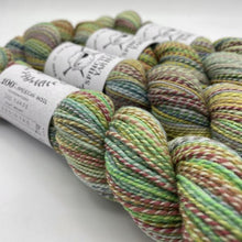 Load image into Gallery viewer, Spincycle Yarns Dyed in the Wool
