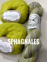 Load image into Gallery viewer, Moonbumps Shawl Kit