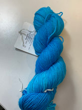 Load image into Gallery viewer, Neighborhood Fibers Studio DK