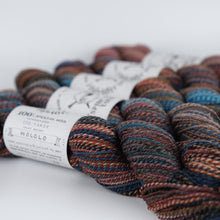 Load image into Gallery viewer, Spincycle Yarns Dyed in the Wool