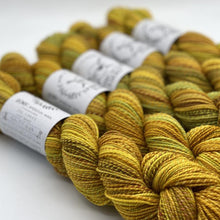 Load image into Gallery viewer, Spincycle Yarns Dyed in the Wool