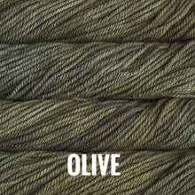 Load image into Gallery viewer, Malabrigo Chunky