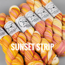Load image into Gallery viewer, Spincycle Yarns Dyed in the Wool