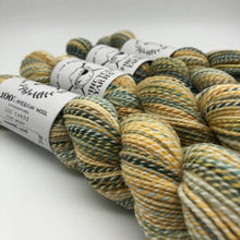 Load image into Gallery viewer, Spincycle Yarns Dyed in the Wool