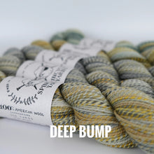 Load image into Gallery viewer, Spincycle Yarns Dyed in the Wool