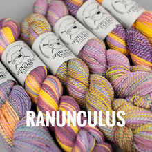 Load image into Gallery viewer, Spincycle Yarns Dyed in the Wool