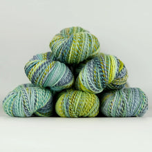 Load image into Gallery viewer, Spincycle Yarns Dyed in the Wool