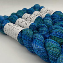Load image into Gallery viewer, Tangled Up in Blue
