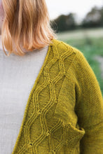 Load image into Gallery viewer, Worsted by Aimée Gille