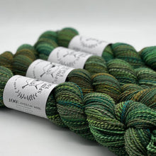 Load image into Gallery viewer, Spincycle Yarns Dyed in the Wool