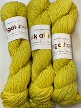 Load image into Gallery viewer, Ikigai Fibers Chibi Paka Chunky