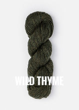 Load image into Gallery viewer, Blue Sky Fibers Woolstok Light