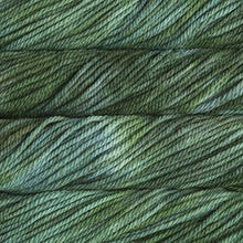 Load image into Gallery viewer, Malabrigo Chunky