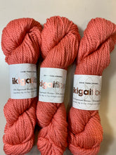 Load image into Gallery viewer, Ikigai Fibers Chibi Paka Chunky