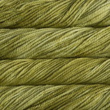 Load image into Gallery viewer, Malabrigo Chunky