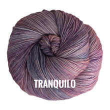 Load image into Gallery viewer, Malabrigo Yarn Arroyo