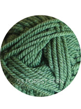 Load image into Gallery viewer, Ewe Ewe Wooly Worsted