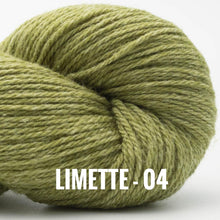 Load image into Gallery viewer, BC Garn Bio Balance GOTS