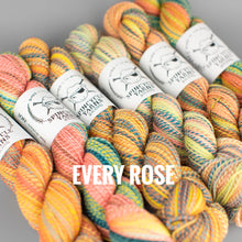 Load image into Gallery viewer, Spincycle Yarns Dyed in the Wool